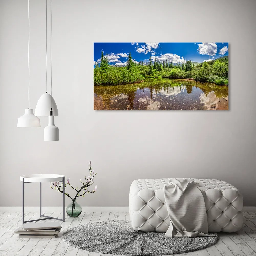 Tablou acrilic Lacul în pădure