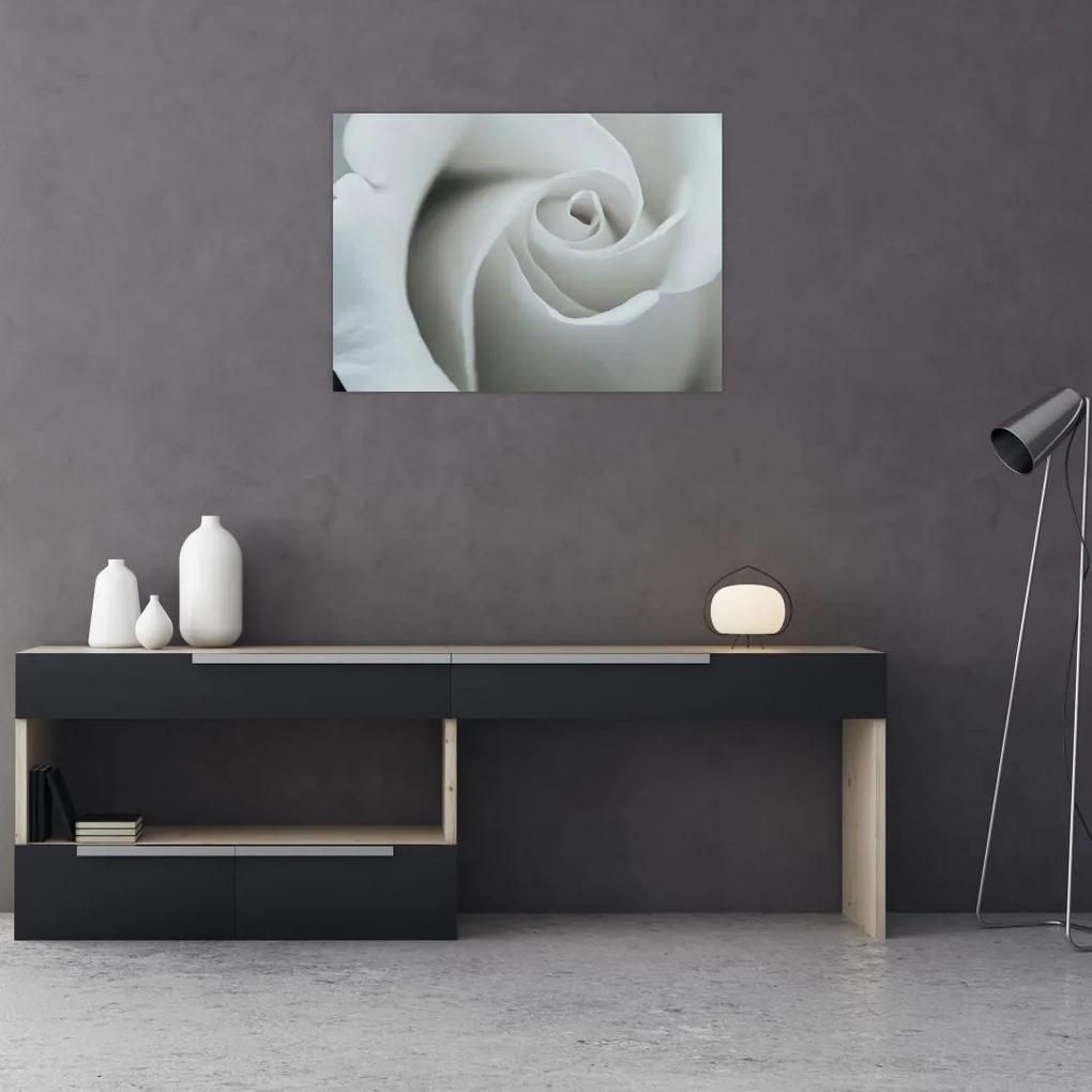 Tablou - Trandafirul alb (70x50 cm), în 40 de alte dimensiuni noi