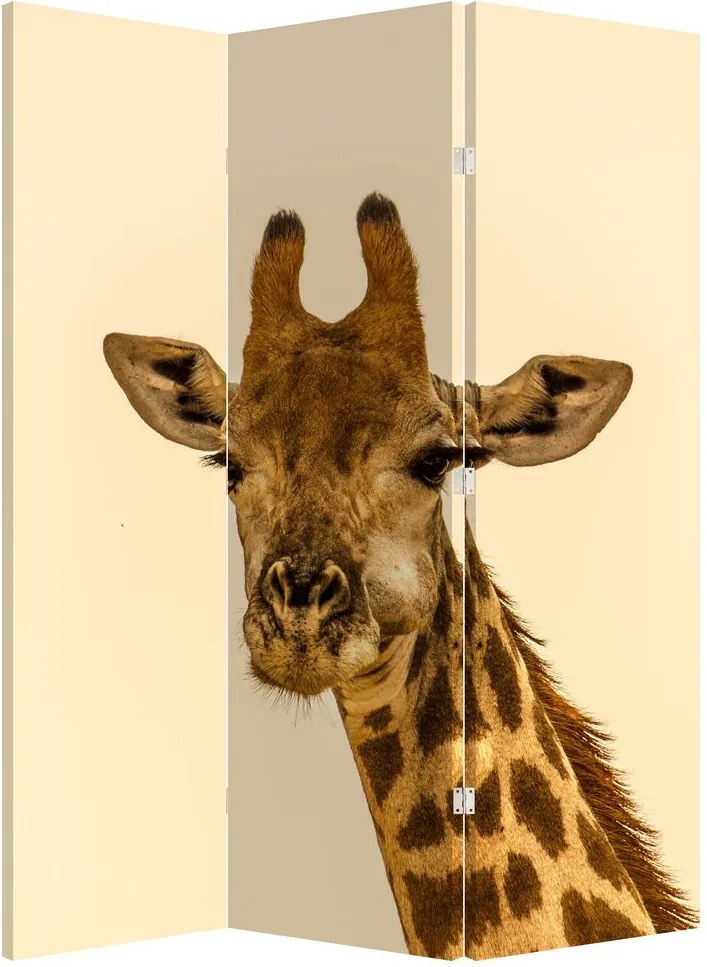 Paravan - Girafe (126x170 cm)