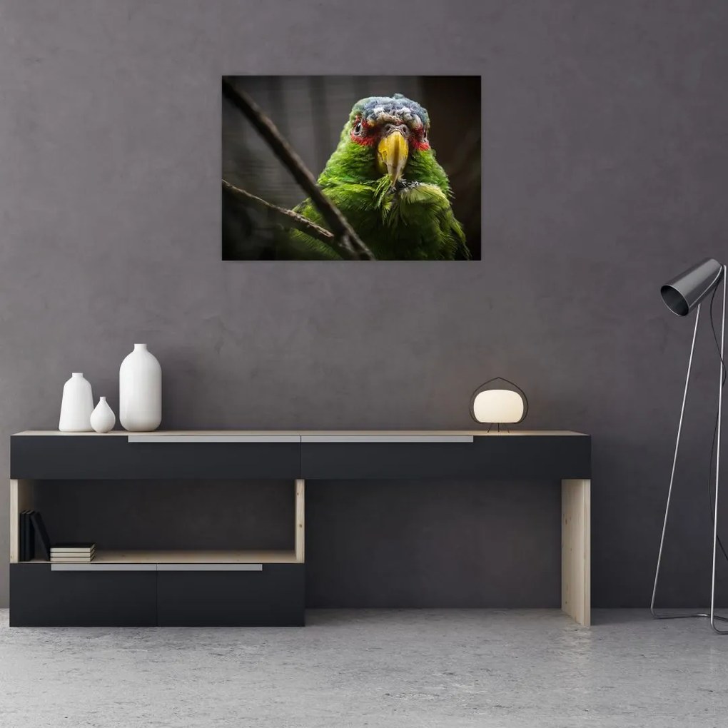 Tablou pe sticlă cu papagal (70x50 cm)