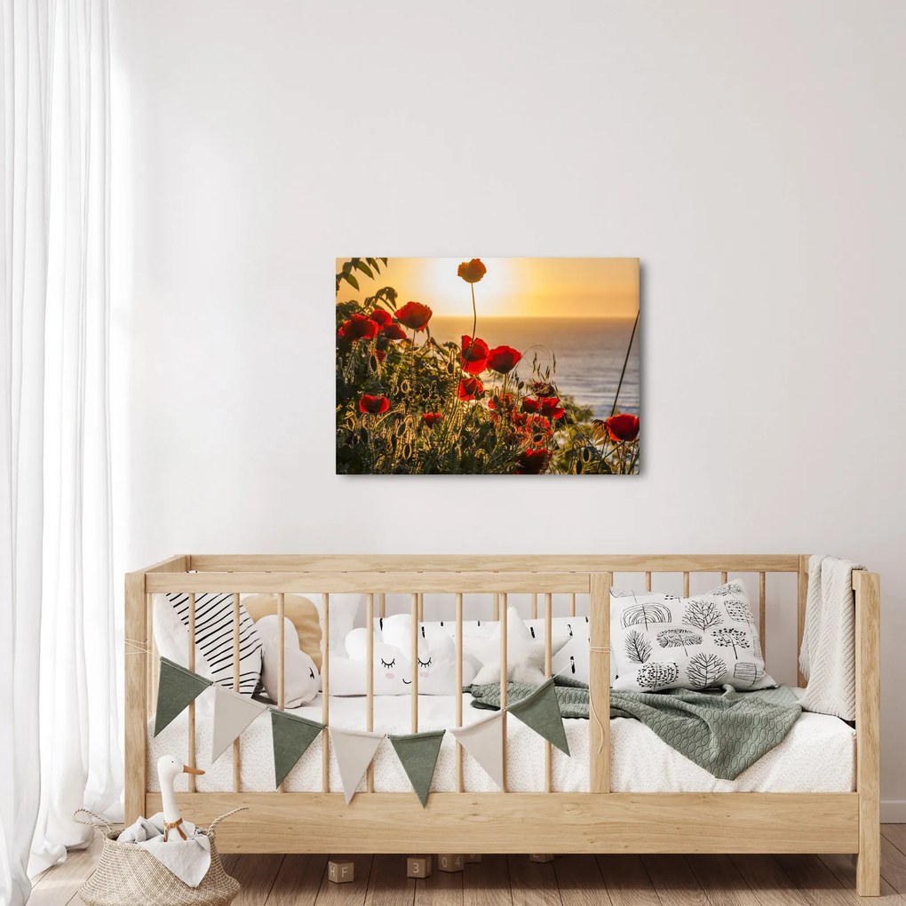 Tablou cu apus de soare cu flori de maci (70x50 cm)