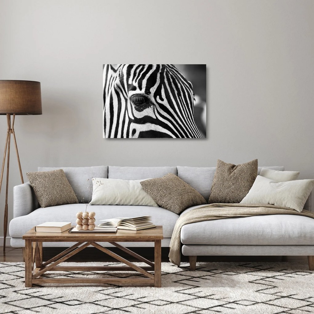 Tablou pe sticlă cu zebră (70x50 cm)