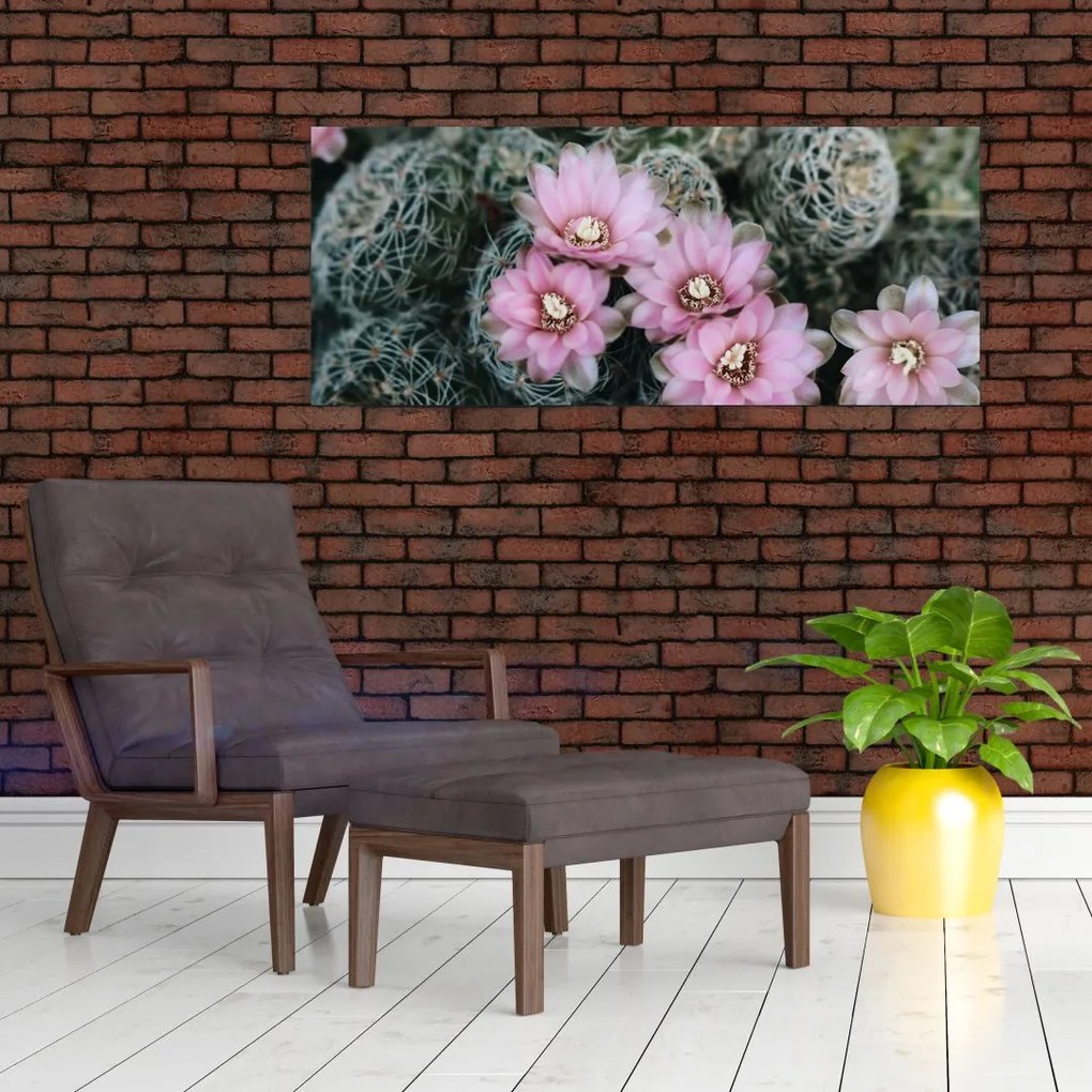 Tablou floare de cactus (120x50 cm)