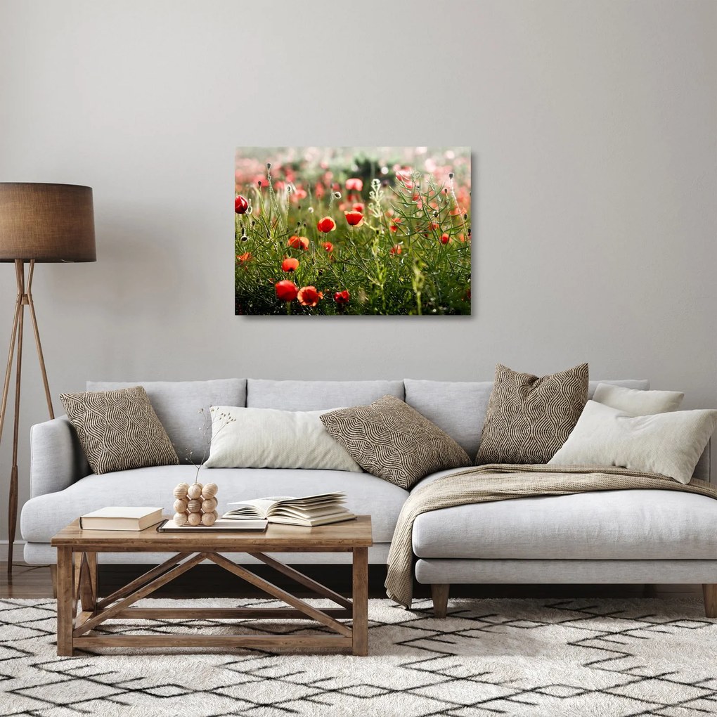 Tablou pe sticlă cu maci (70x50 cm)