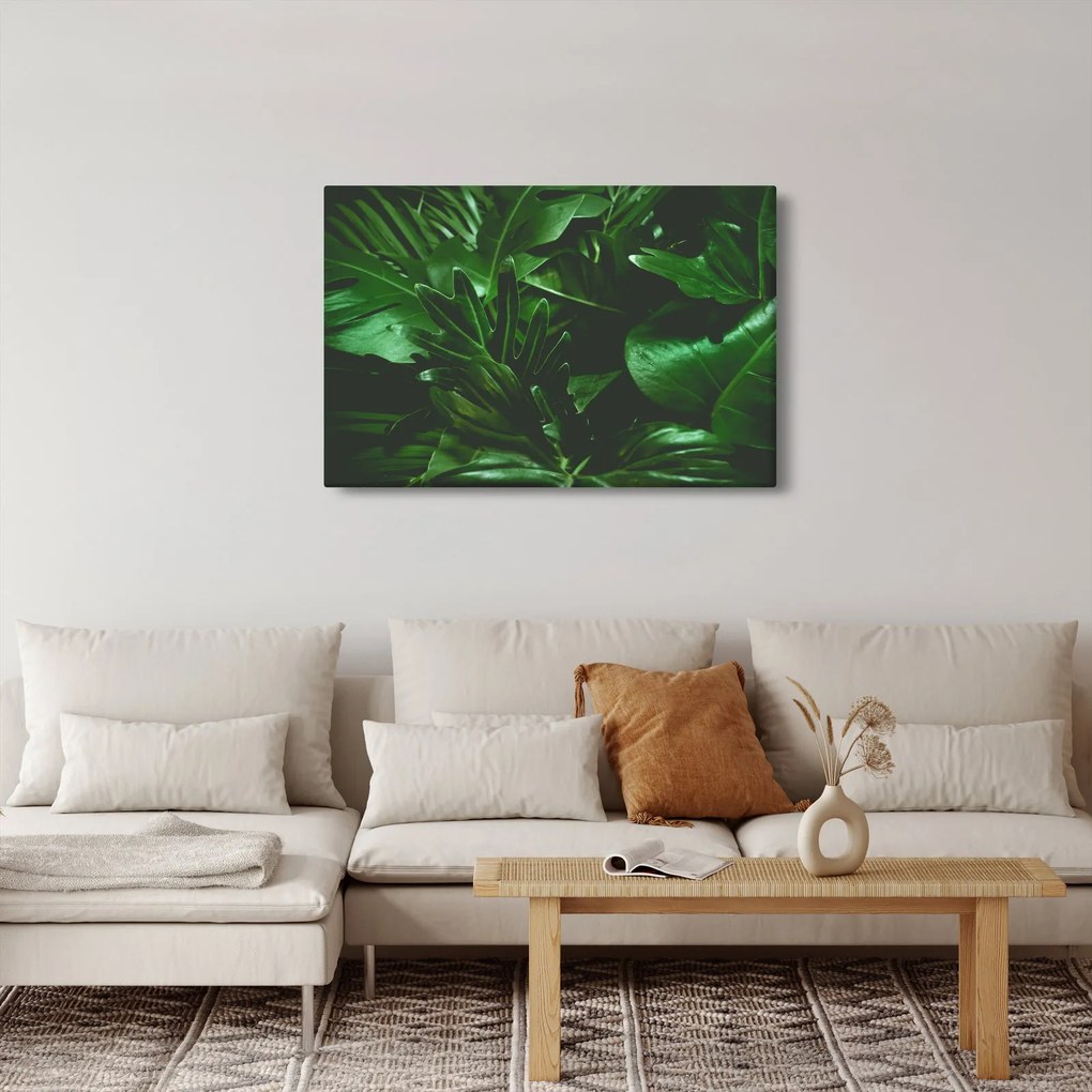 Tablou - Frunze de palmier (90x60 cm)