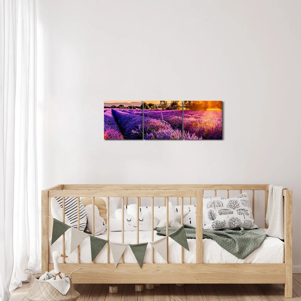Tablou cu câmp de lavandă, Provincie (cu ceas) (90x30 cm)