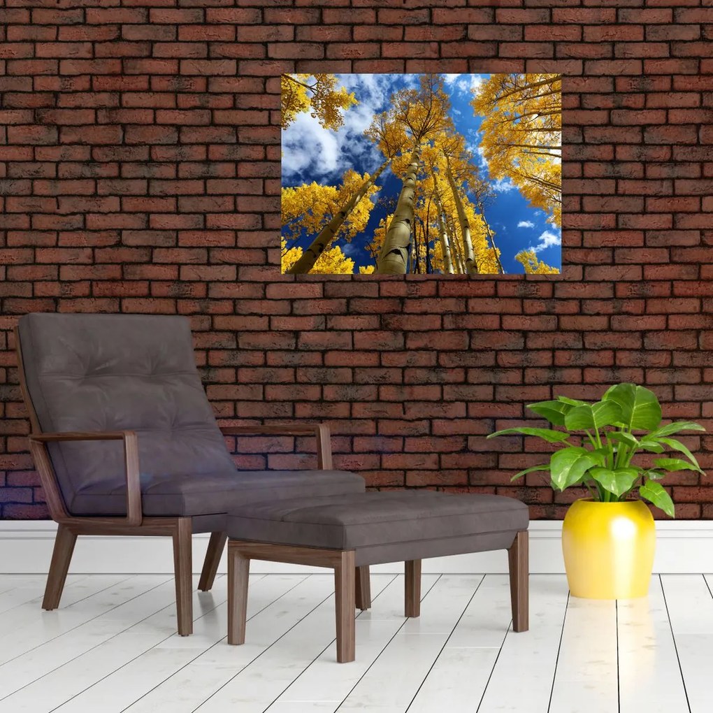 Tablou - Aspen (70x50 cm)