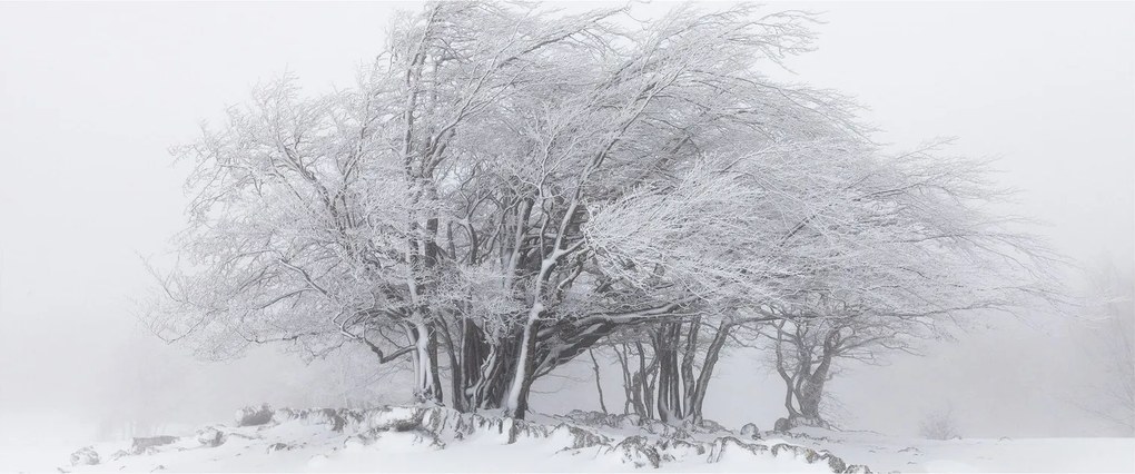 Tablou - Iarnă albă (120x50 cm)