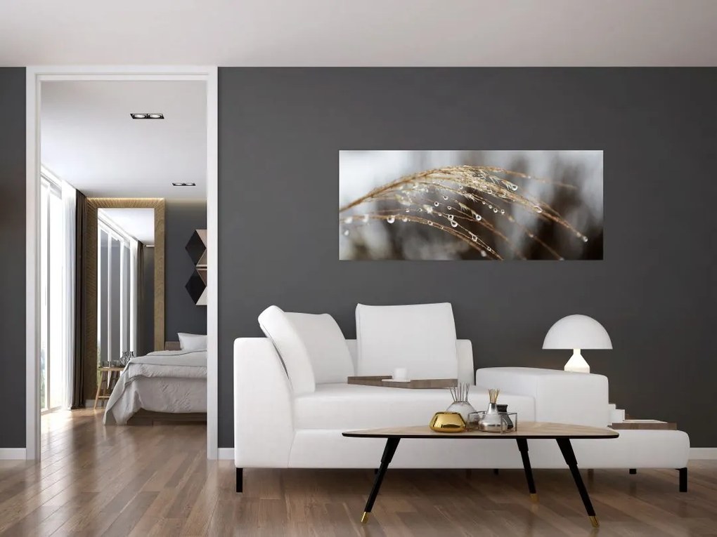 Tablou - Picături pe plantă (120x50 cm)