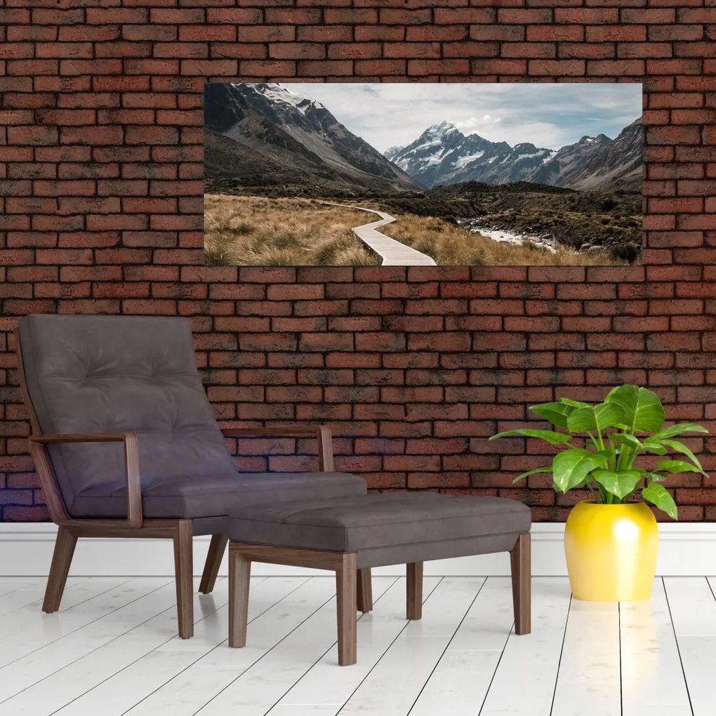 Tablou - Poteca în valea muntelui Mt. Cook (120x50 cm)