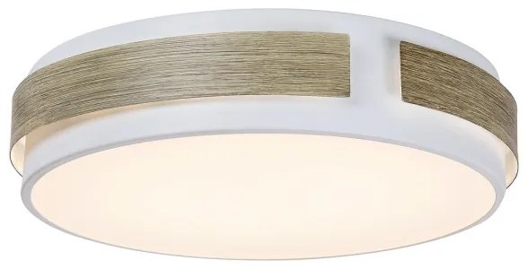 Rabalux 5646 - Plafonieră LED SALMA reglabilă, 24W, 230V
