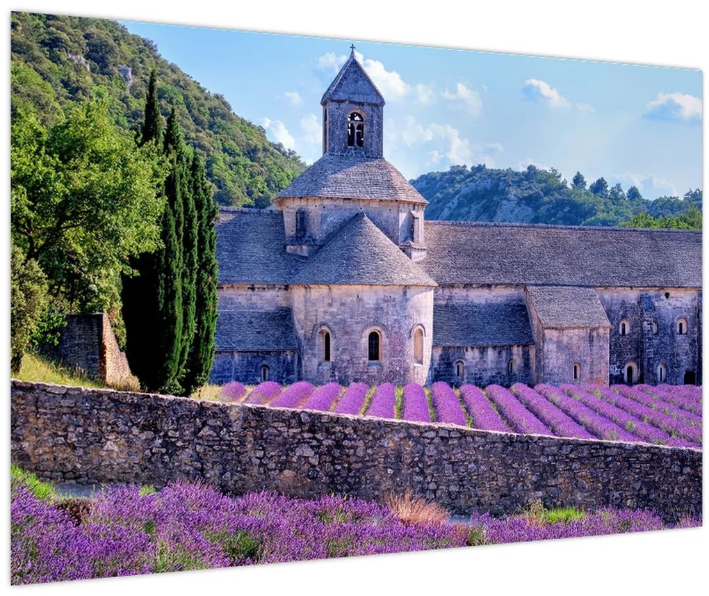 Tablou - Câmp de lavandă (90x60 cm)