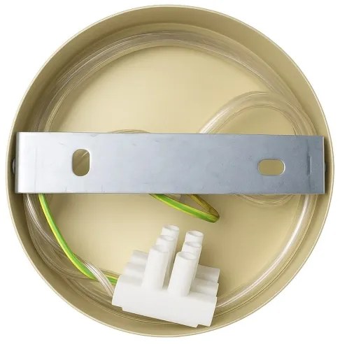 Aplică de perete CAPITAL 1xGX53/15W/230V, aurie