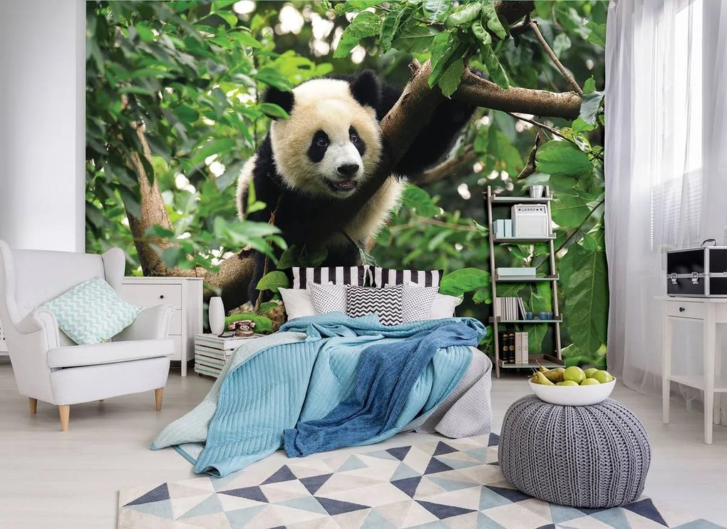 Fototapet - Panda în copac (254x184 cm)
