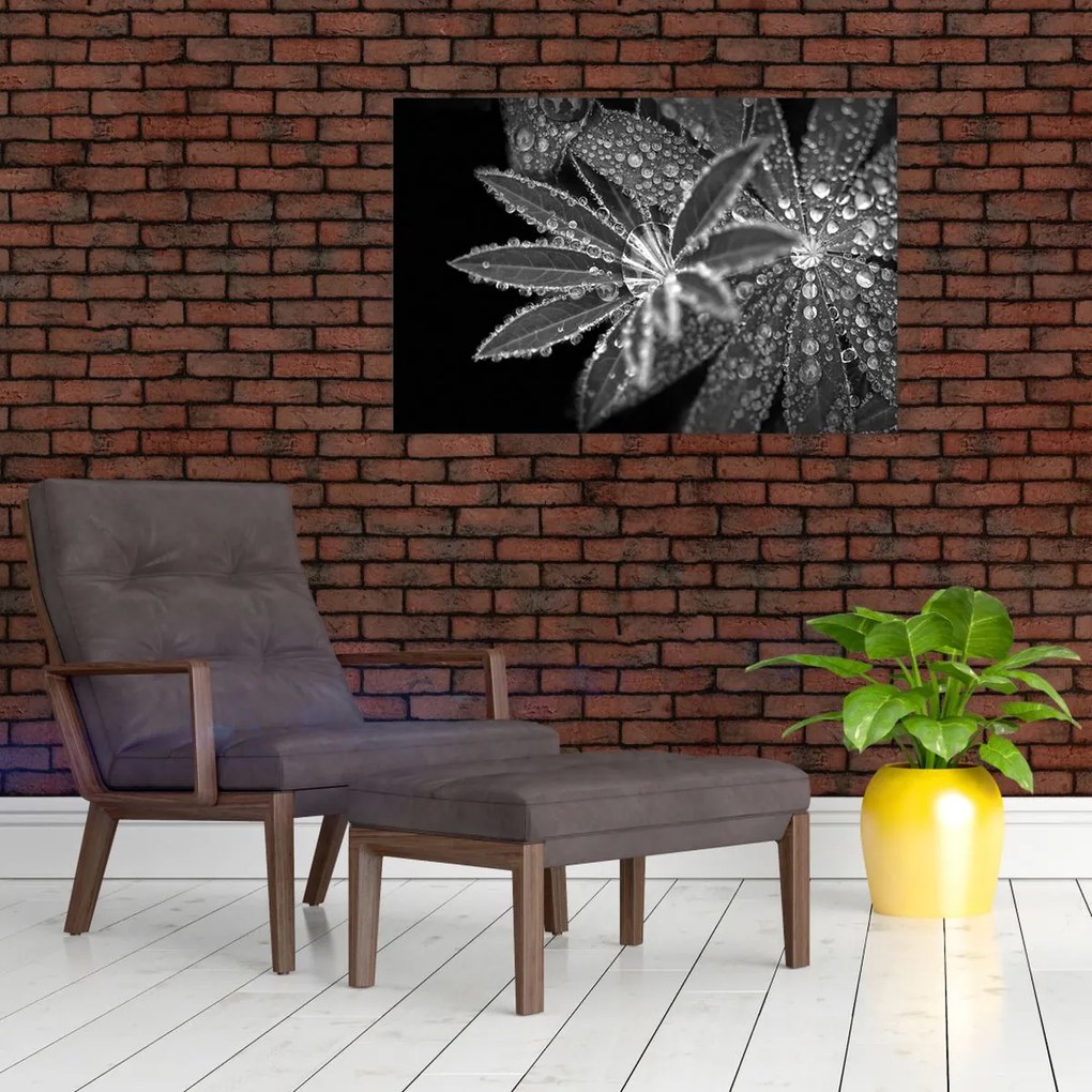 Tablou - Picături (90x60 cm)