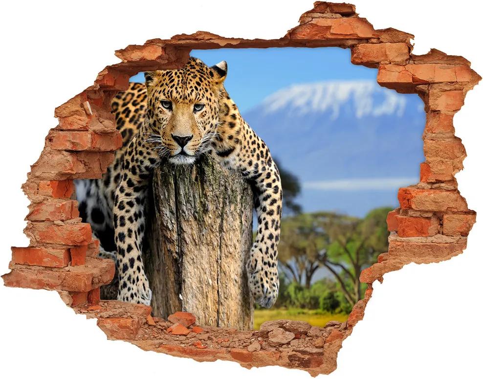 Fototapet 3D gaură în perete Leopard pe un ciot de copac