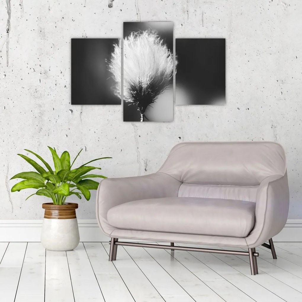 Tablou - Coțofană neagră și albă (90x60 cm)