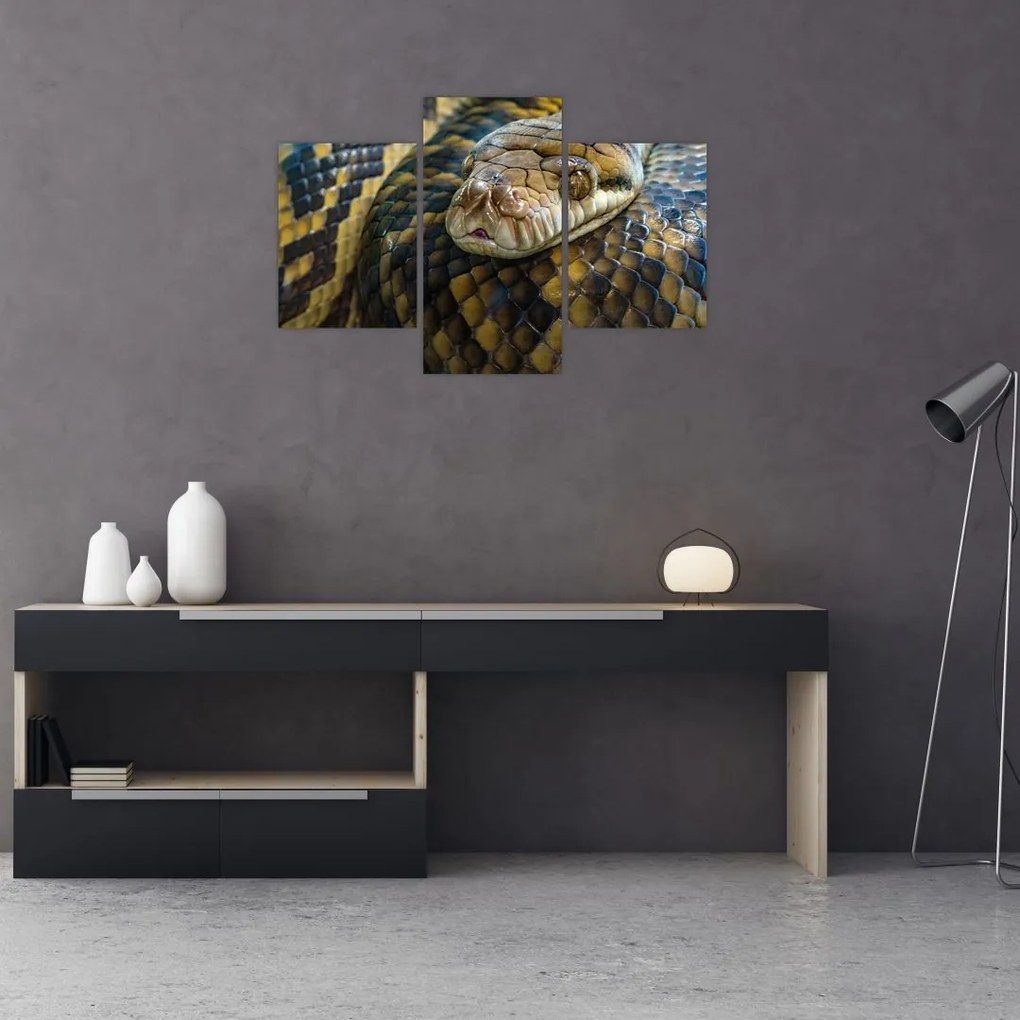 Tablou - Piton (90x60 cm)