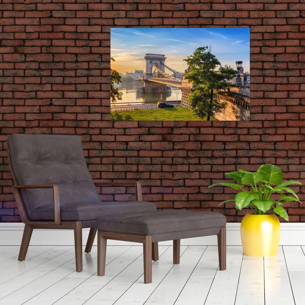 Tablou - Pod peste râu, Budapesta, Ungaria (90x60 cm)