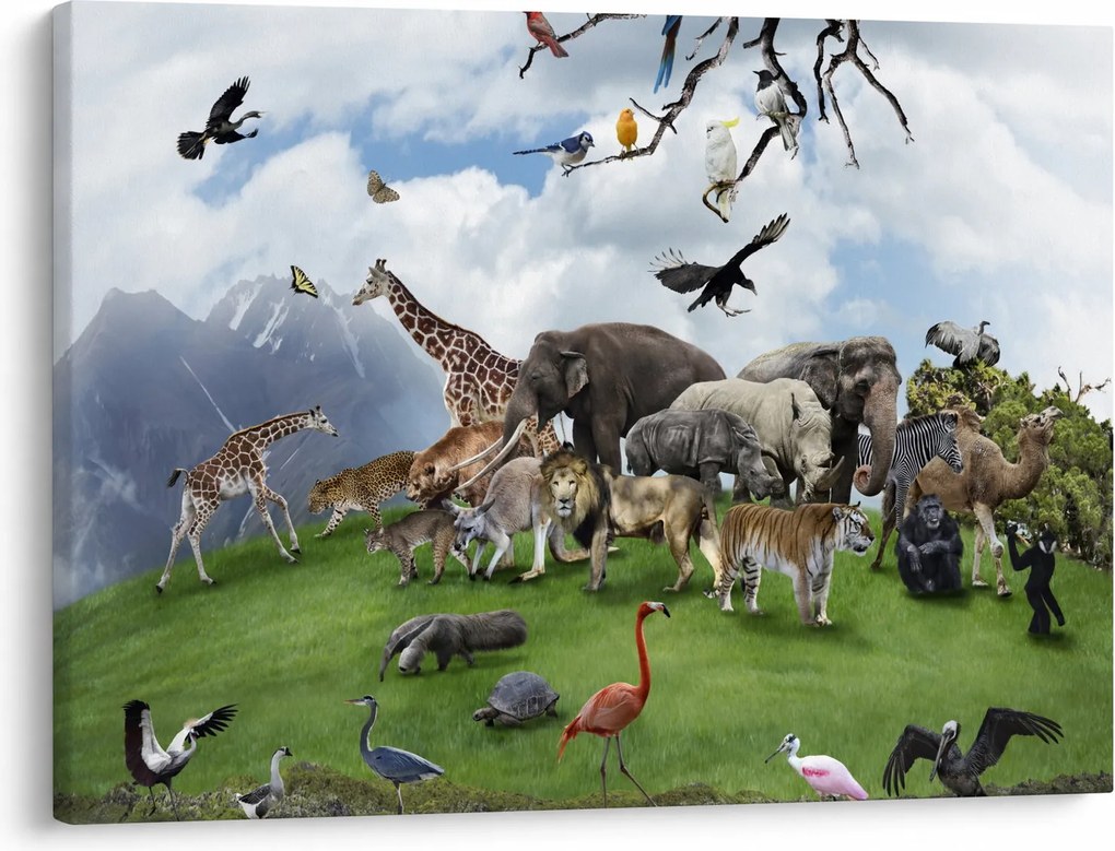 Tablou - Animale pe insulă (70x50 cm)