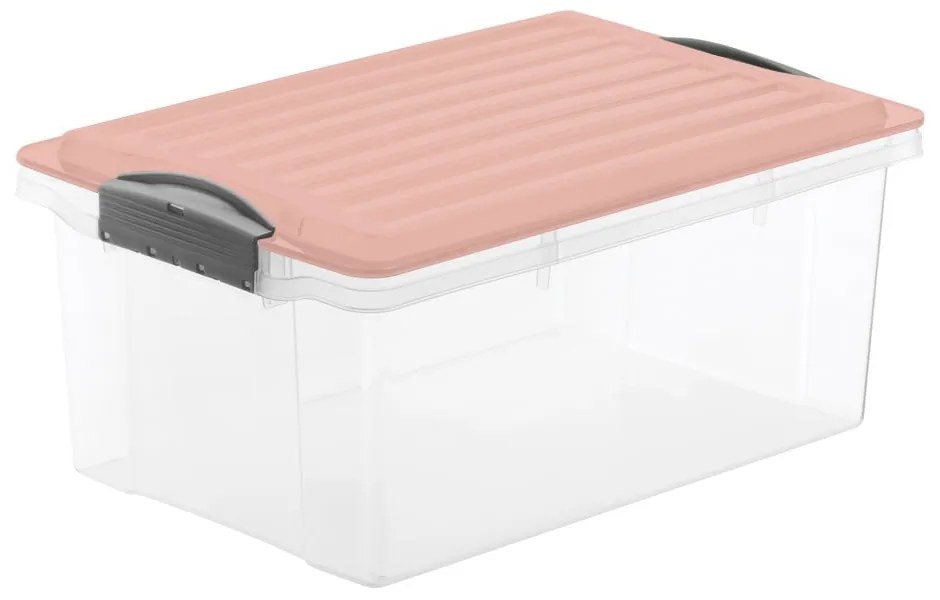 Cutie de depozitare din plastic cu capac Compact – Rotho