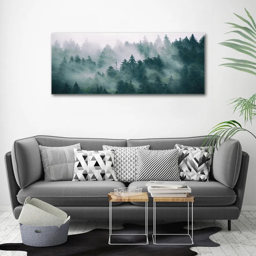 Tablou canvas Ceață peste pădure
