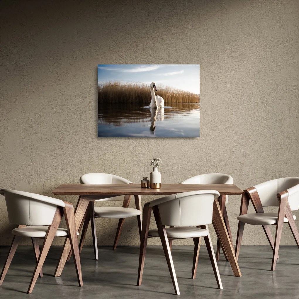Tablou pe sticlă cu lebăda (70x50 cm)