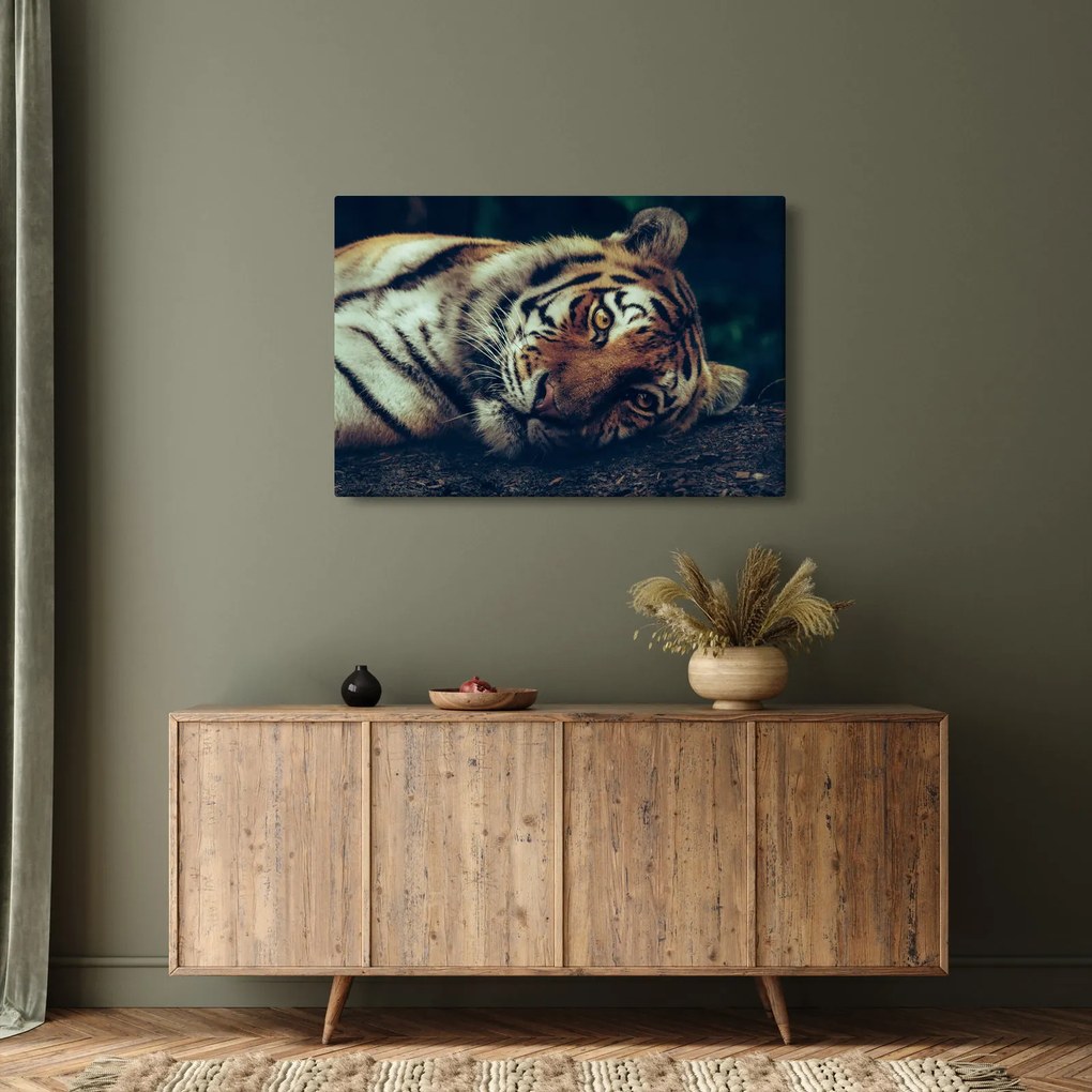 Tablou - Tigrul Siberian (90x60 cm)
