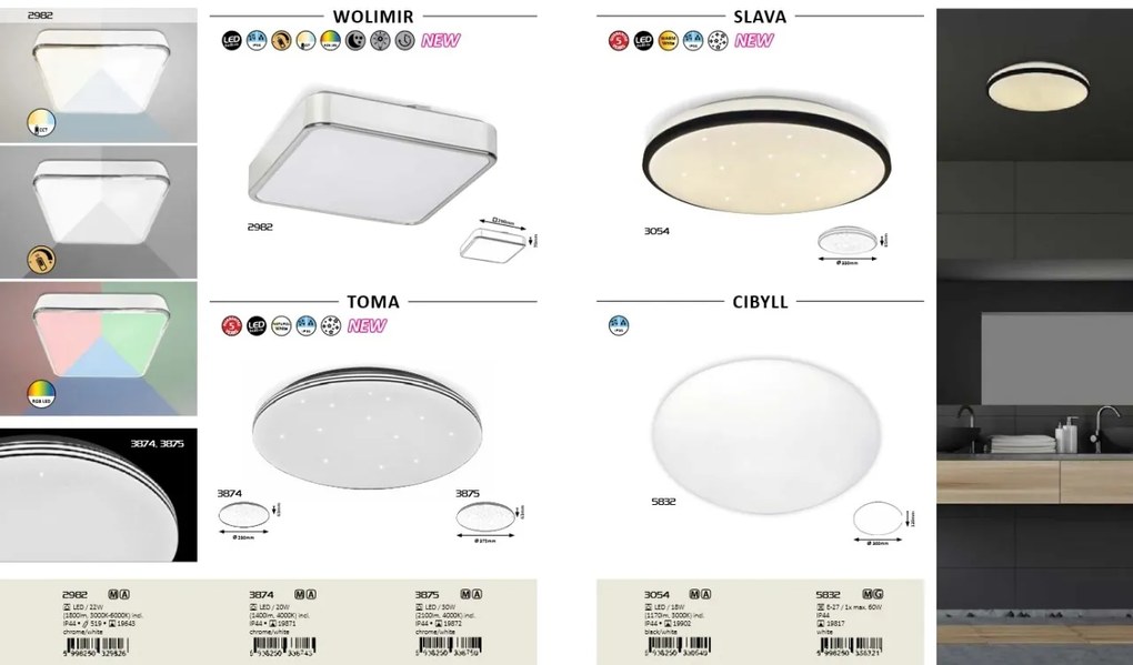 Plafoniera LED protectie IP44 pentru baie Toma, 37,5cm 3875 RX