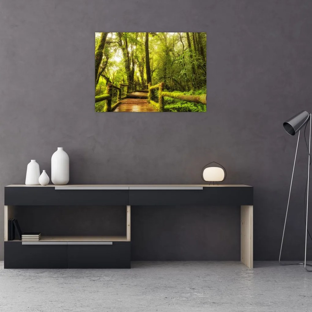 Tablou junglei cu mușchi (70x50 cm)