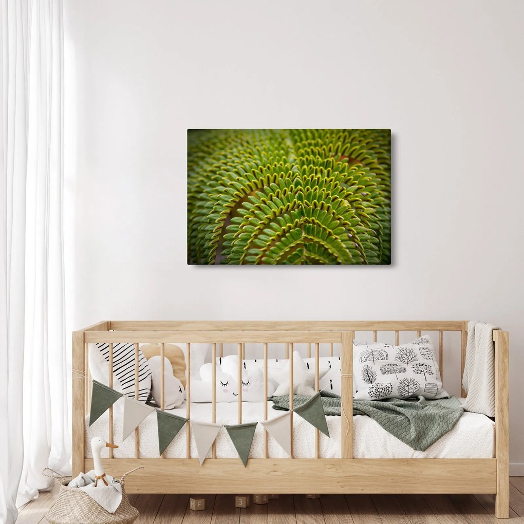 Tablou - Fern (90x60 cm)