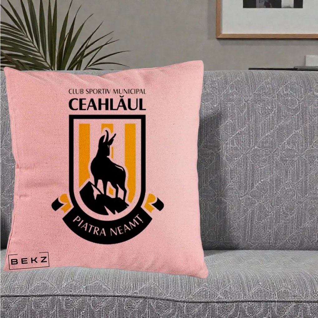 Perna Personalizata CSM Ceahlaul Piatra Neamt Fotbal, 40x40 cm, Roz, Husa Detasabila, Perna Inclusa, BEKZ®