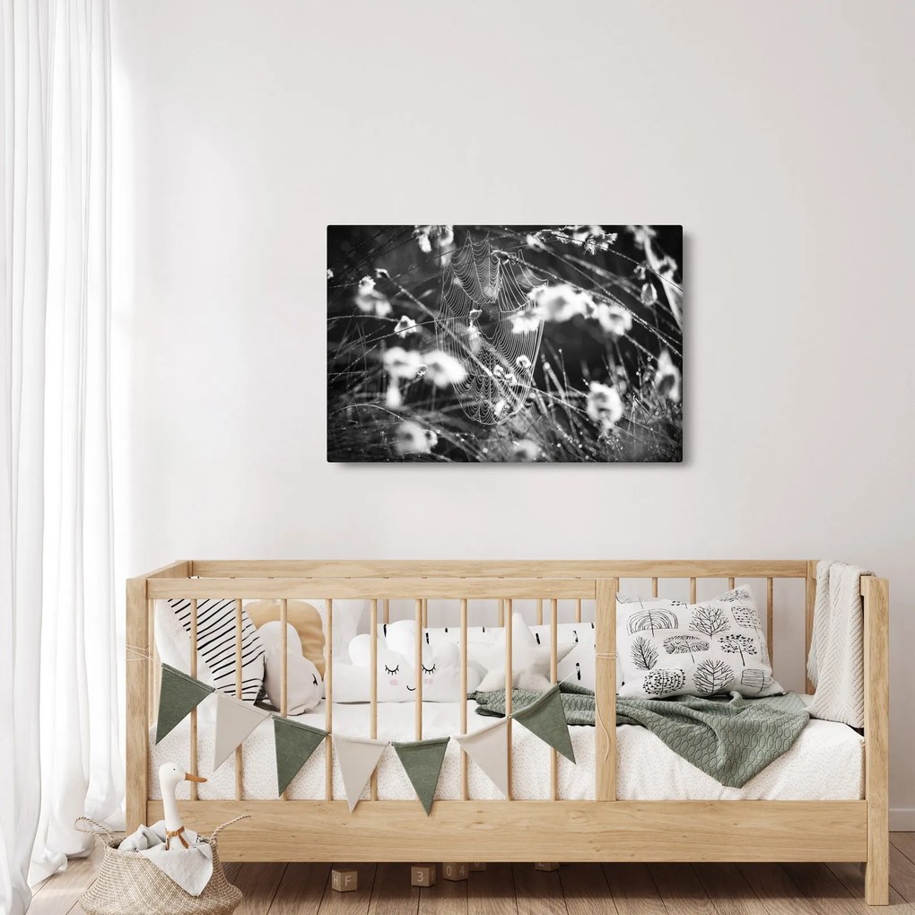 Tablou - Pânza de păianjen în pajiște (90x60 cm)