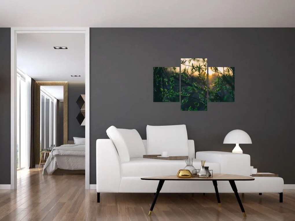 Tablou - Soarele strălucind printre crengile copacilor (90x60 cm)