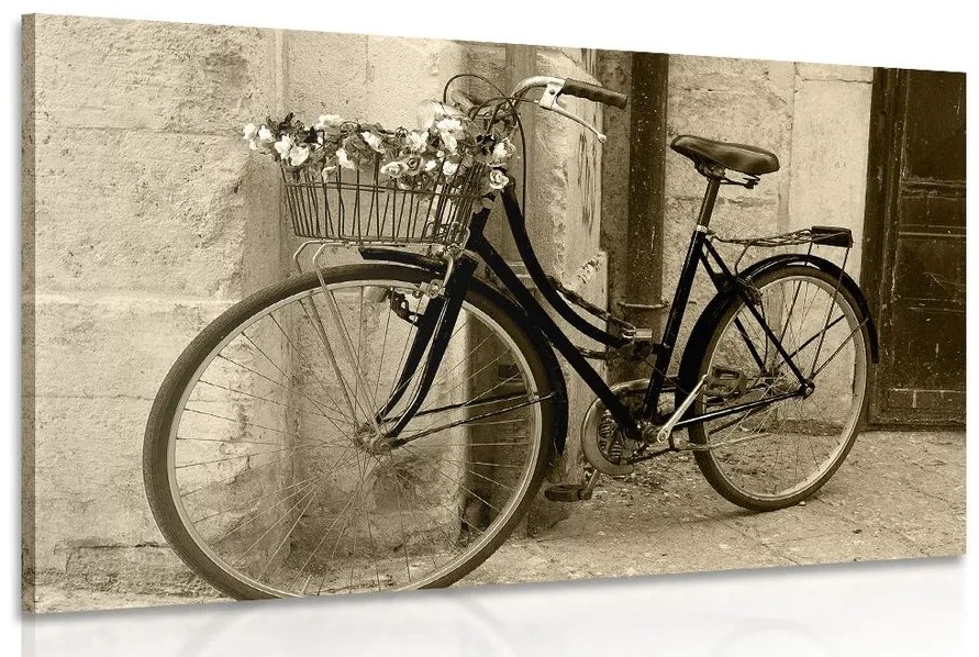 Tablou bicicletă rustică în design sepia