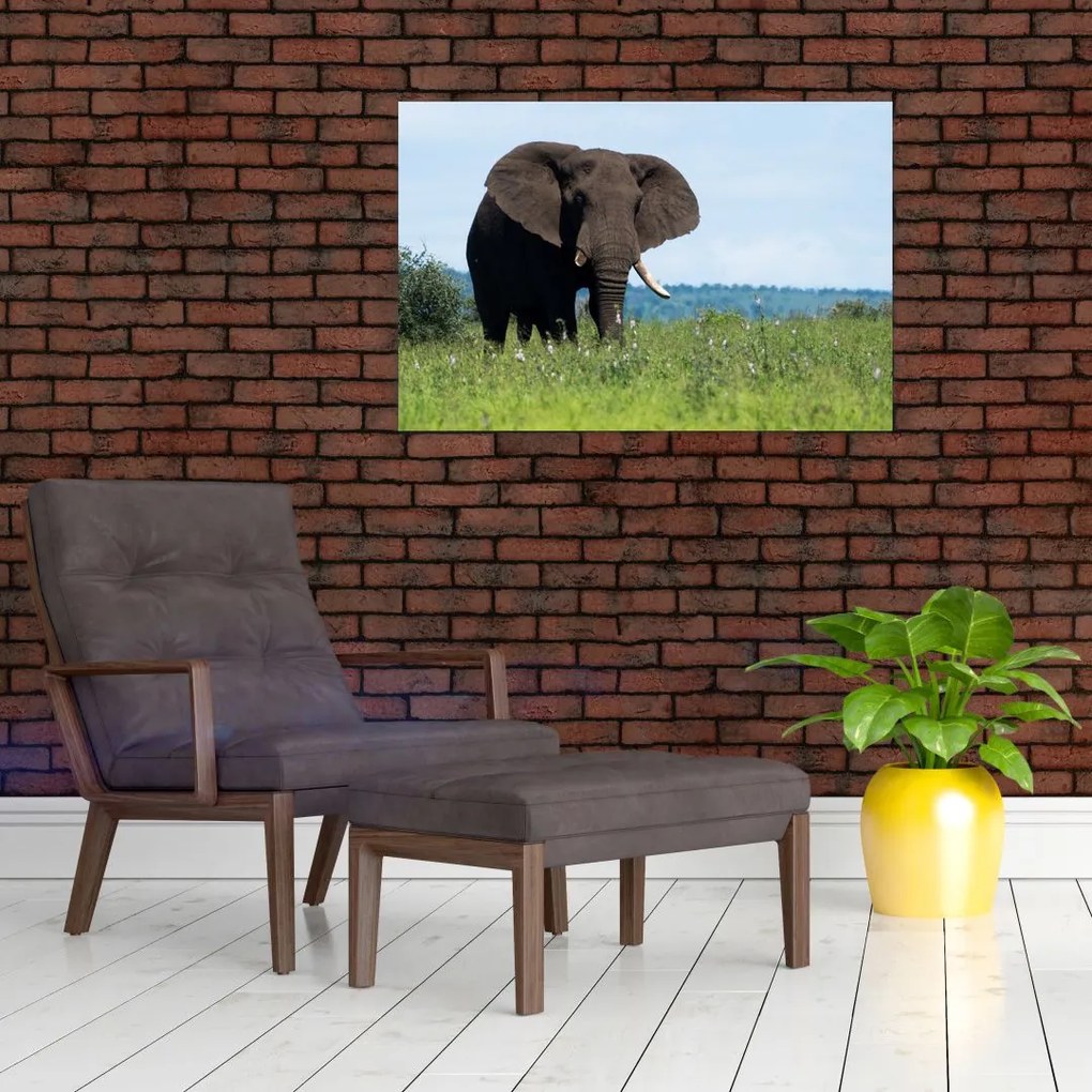 Tablou cu elefant (90x60 cm)