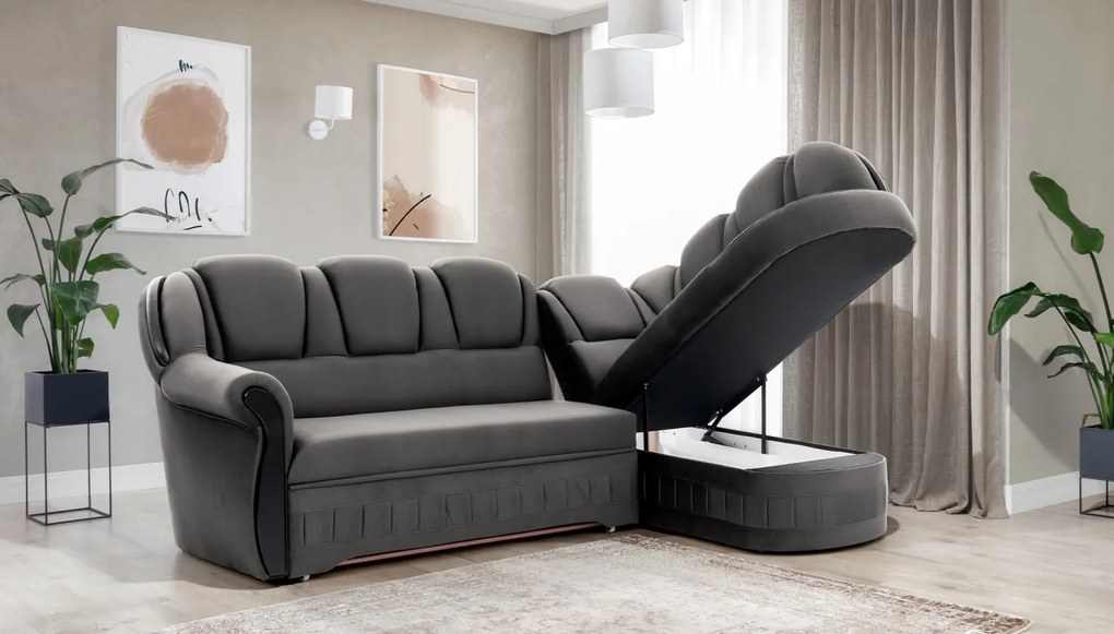 Coltar extensibil Lord pe dreapta Nube 5