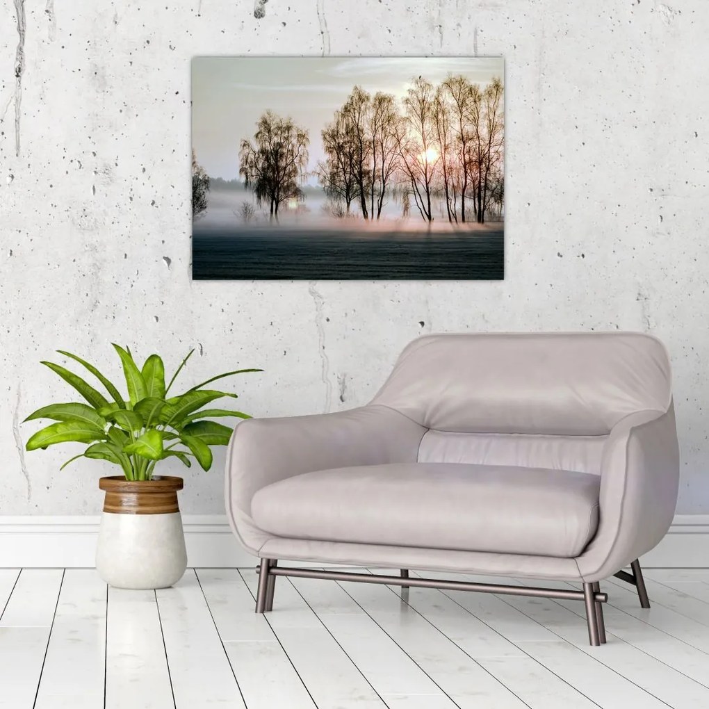 Tablou - Dimineața mohorâtă (70x50 cm)