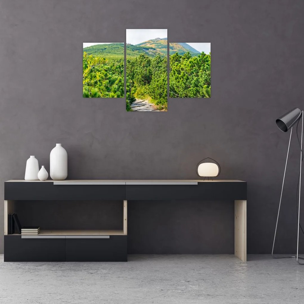 Tablou - Babi Hora, Polonia (90x60 cm)