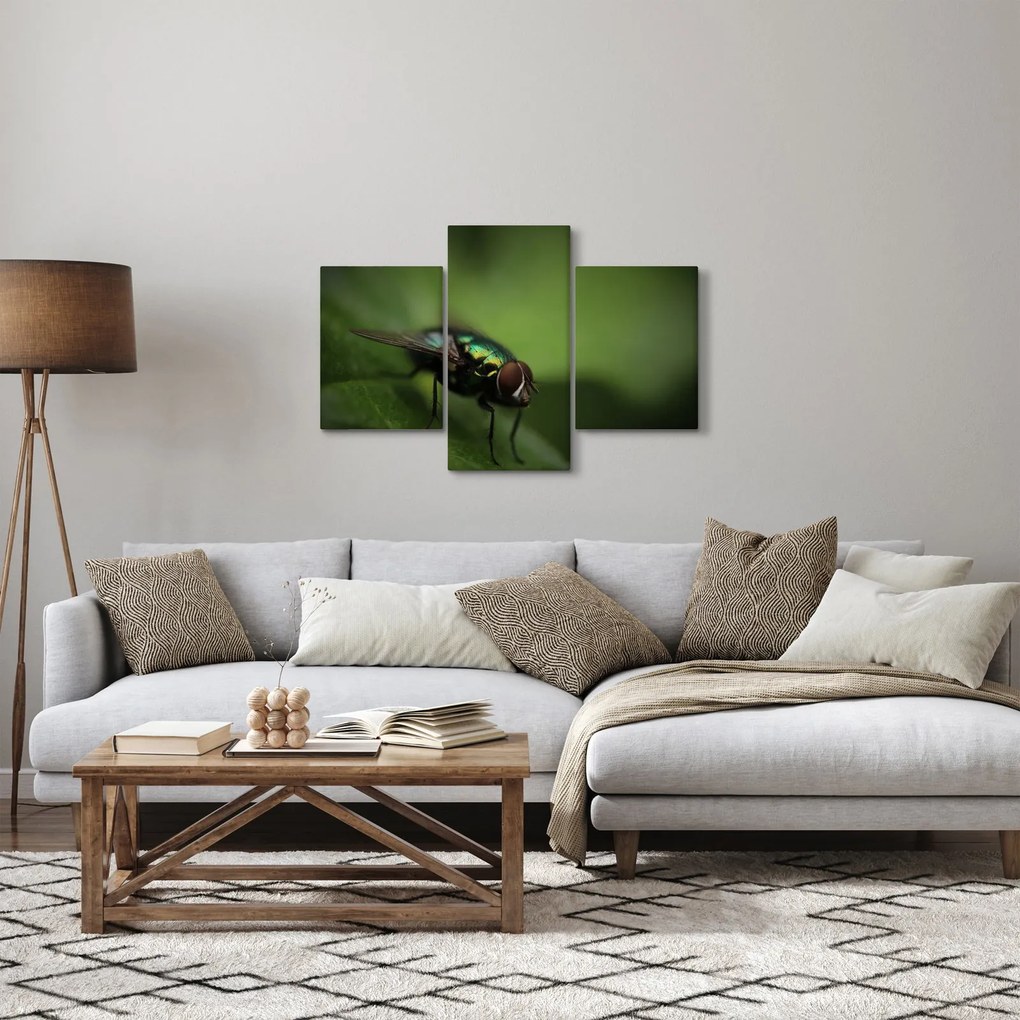 Tablou - Musca (90x60 cm)