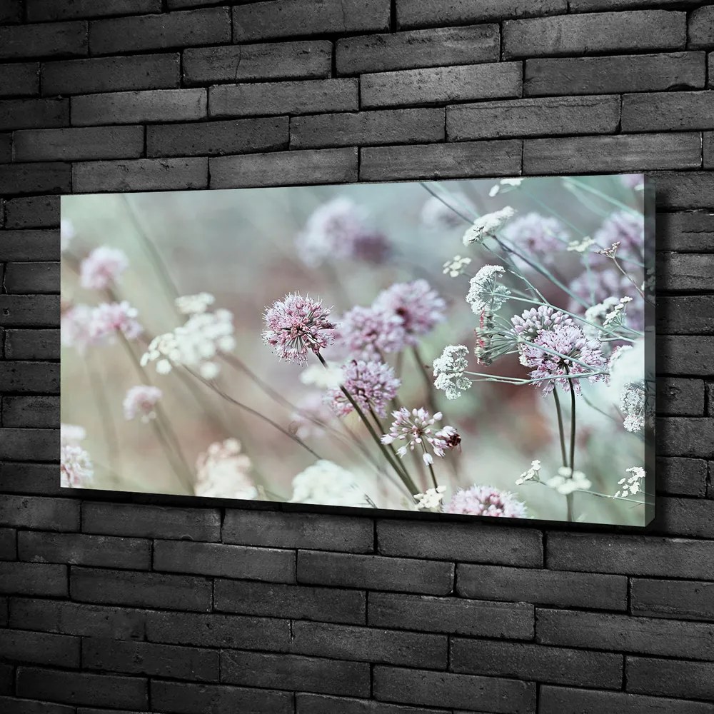 Print pe canvas Flori de câmp