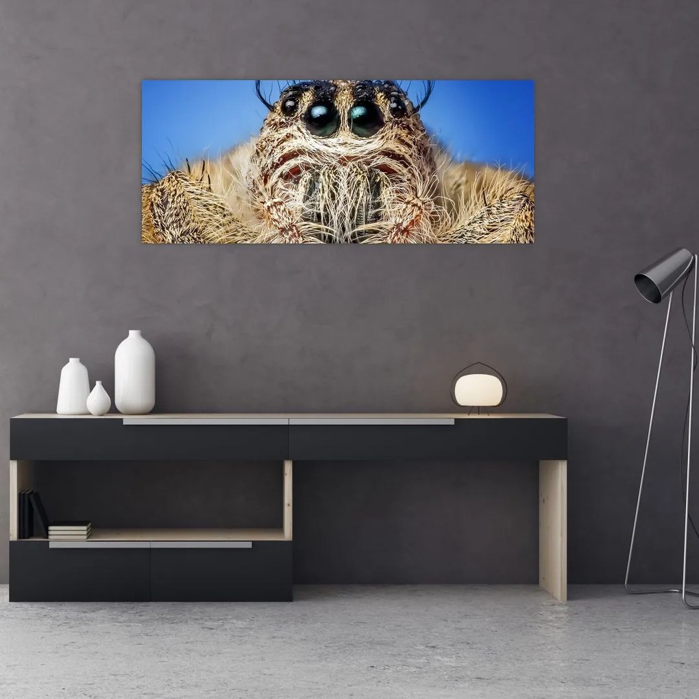 Tablou cu detalii a unui pâianjen (120x50 cm)