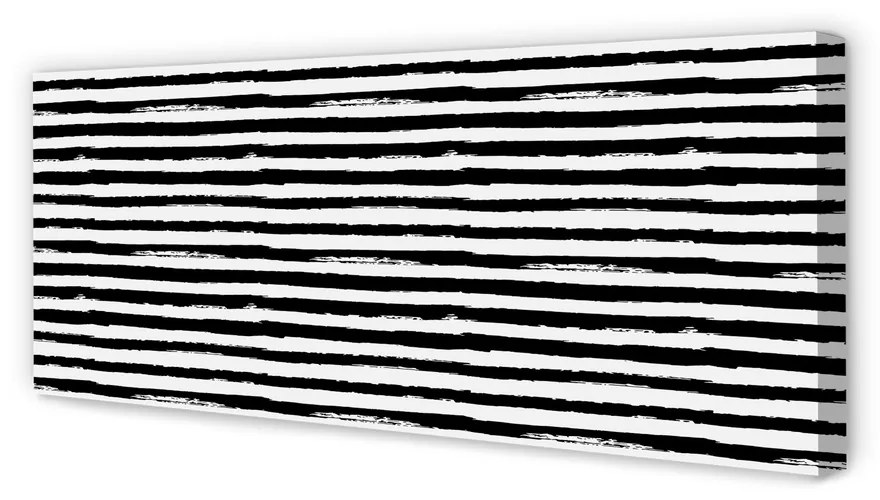 Tablouri canvas dungi neregulate de o zebră