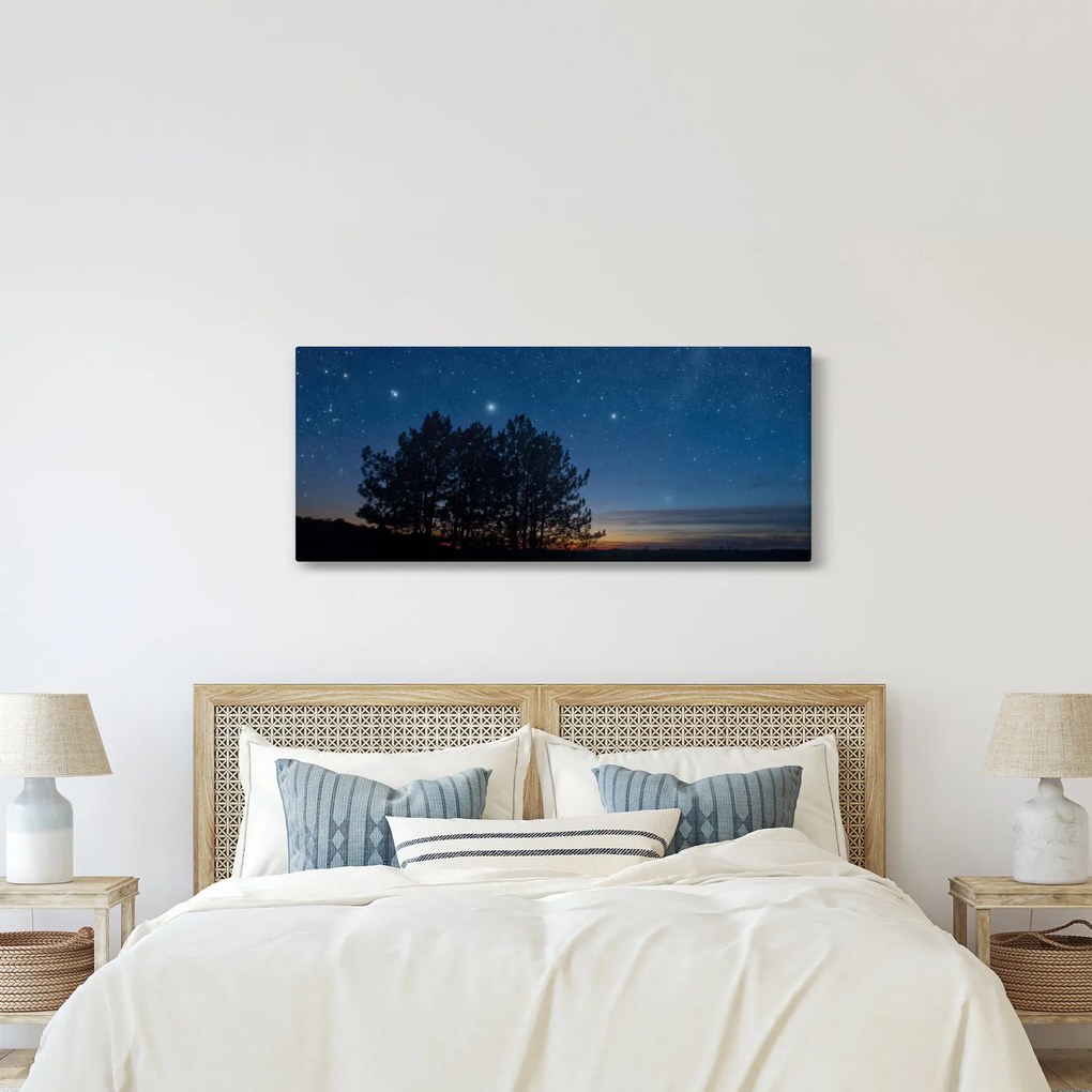 Tablou cu copaci noapte (120x50 cm)