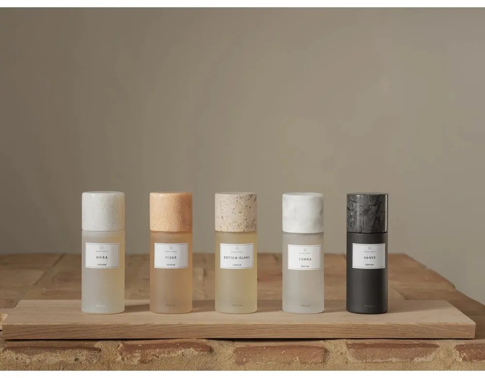 Parfum de cameră 100 ml Frabli: Figue – Blomus