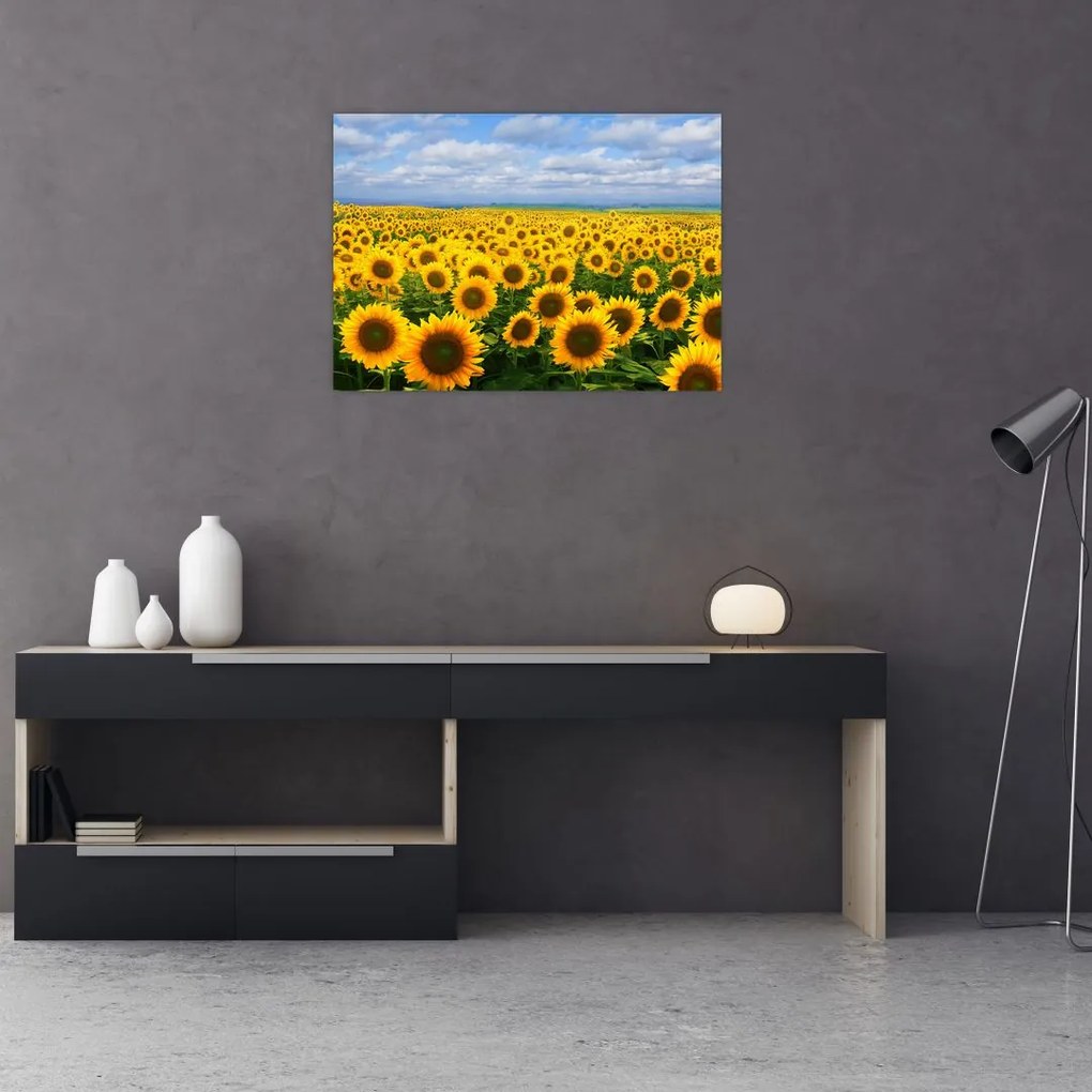Tablou pe sticlă cu lan de floarea soarelui (70x50 cm)