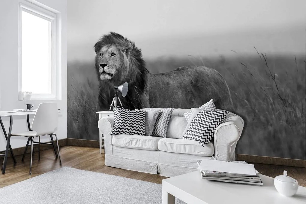 Fototapet - Leu (152,5x104 cm)