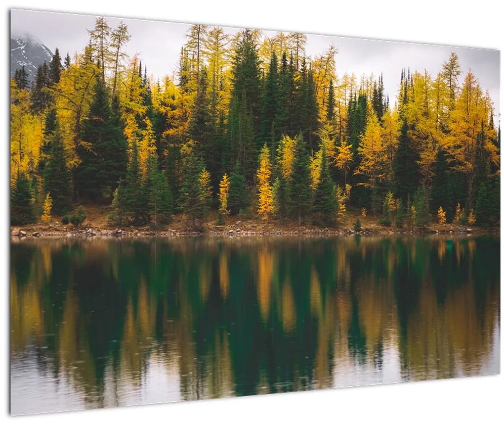 Tablou cu lac de pădure (90x60 cm)
