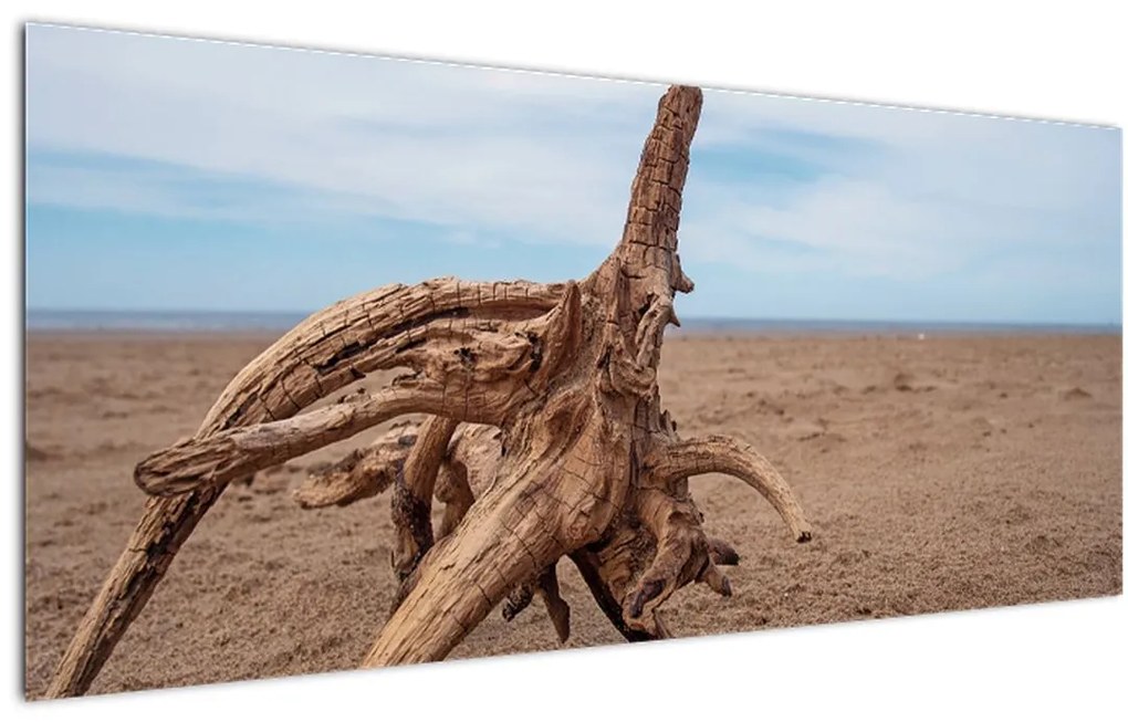 Tablou - Inundație de mare (120x50 cm)