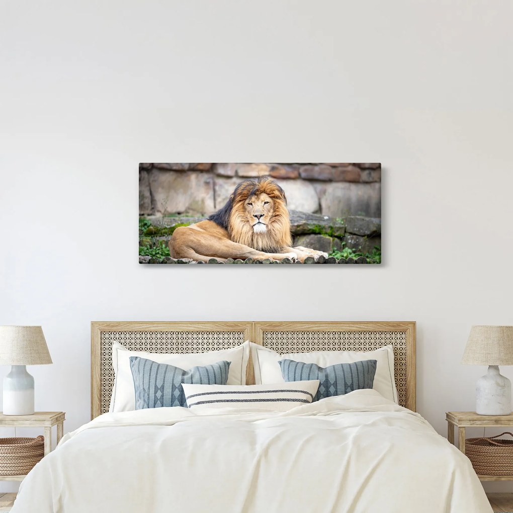 Tablou cu leu (120x50 cm)